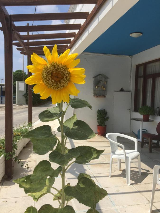 Villa Bonatsa Andros Home Баці Екстер'єр фото